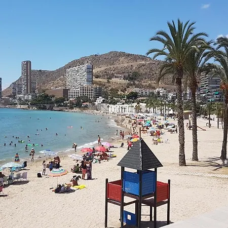 Rocafel 6 Alicante